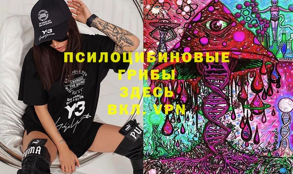хмурый Снежинск